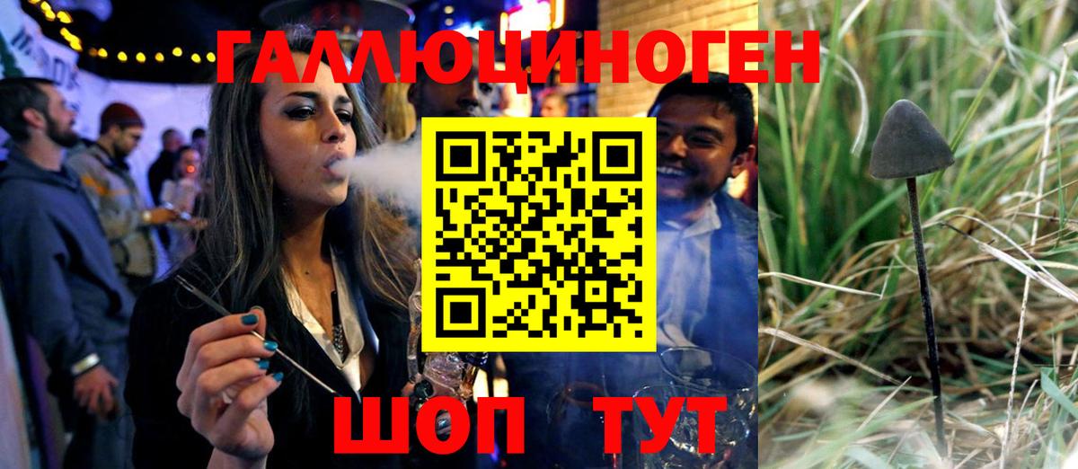 Ейск  Галлюциногенные грибы прущие грибы  продажа наркотиков  Вход с VPN  Галлюциногенные грибы MAGIC MUSHROOMS 